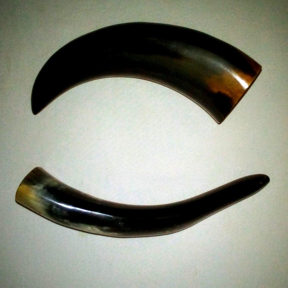 (2)  Polished Buffalo Horn Caps:  Taxidermy.  Genuine.  Never Used!!